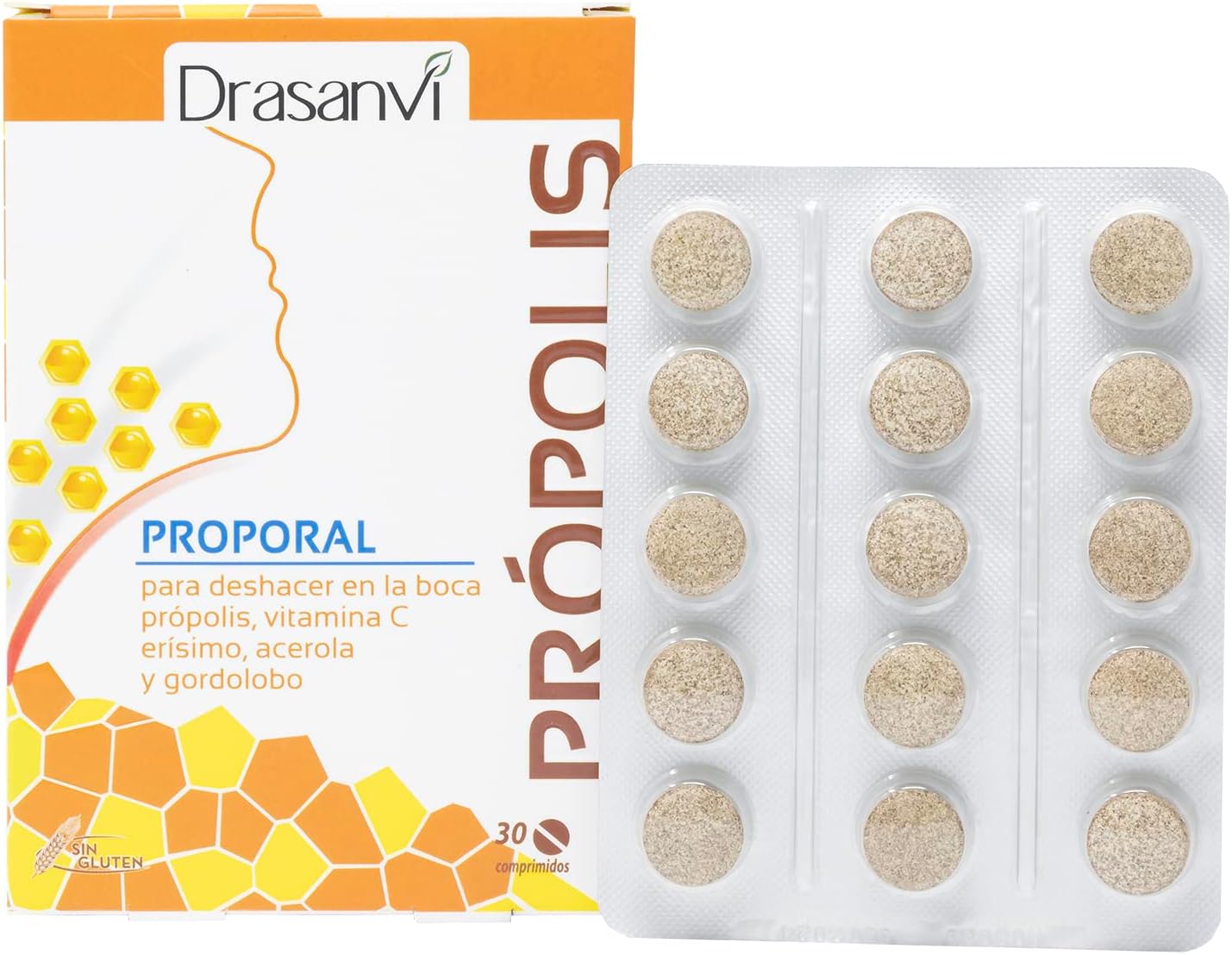 DRASANVI PROPORAL PROPOLIS