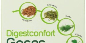 NUTRITIONAL SYSTEM Digestconfort Gases