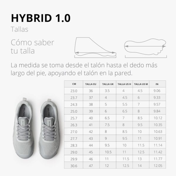 Velites - Juegos Oficiales de Crossfit