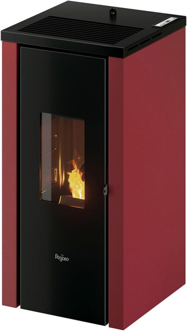 EIDER BIOMASA PEGASO Pellet Stove 8